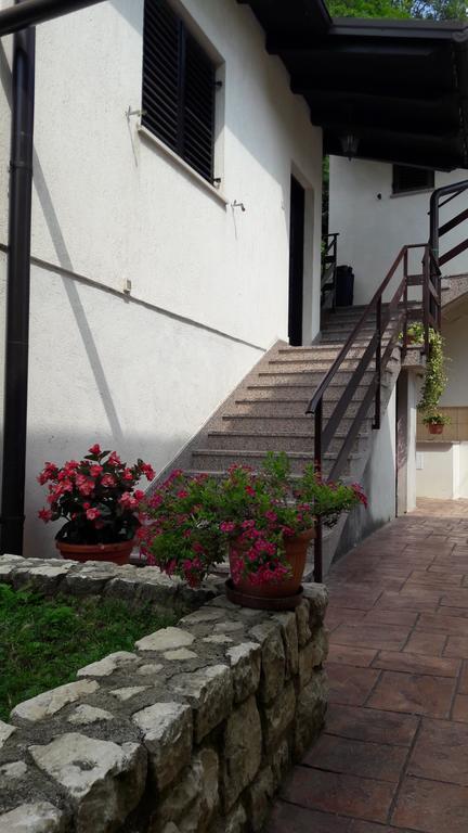 Apartman Koraca Roč 외부 사진